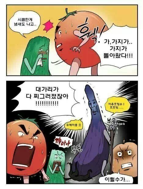 채식주의자