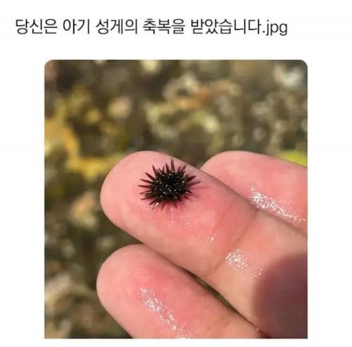 오늘은 로또 추첨이 있는 날 입니다