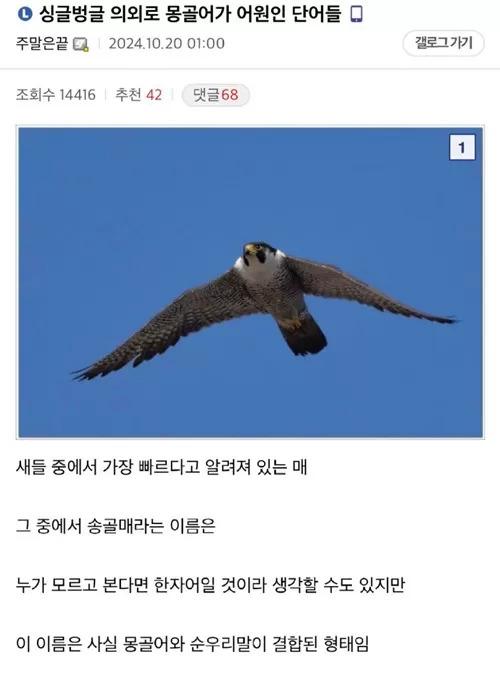 의외의 몽골어 어원 단어들