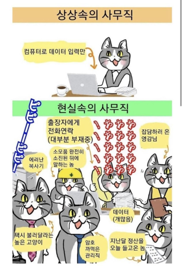 ㅈ소기업 사무직 현실