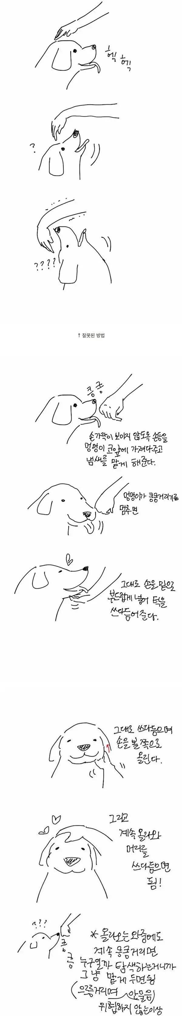 낯선강아지 쓰다듬는 법