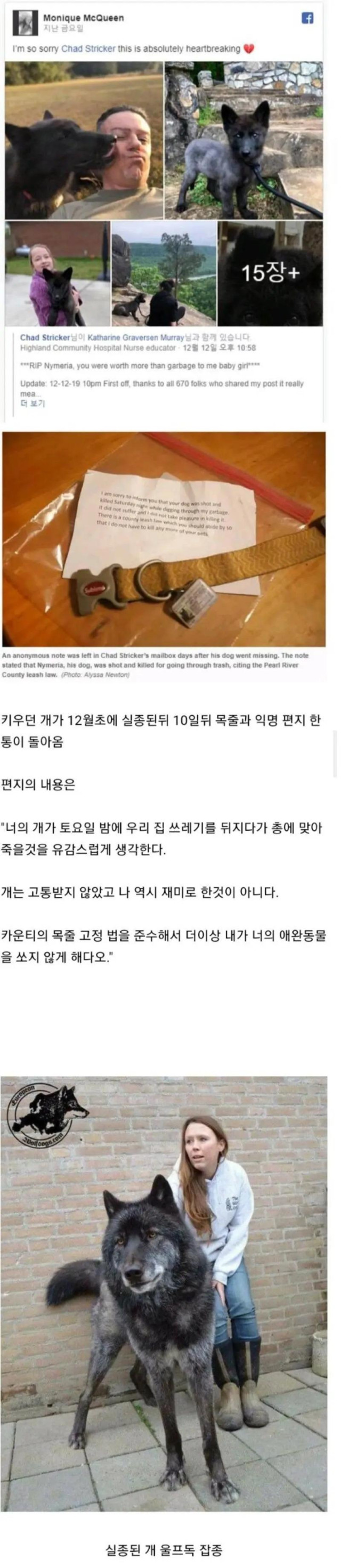 키우던 개가 실종된지 10일 만에 온 편지