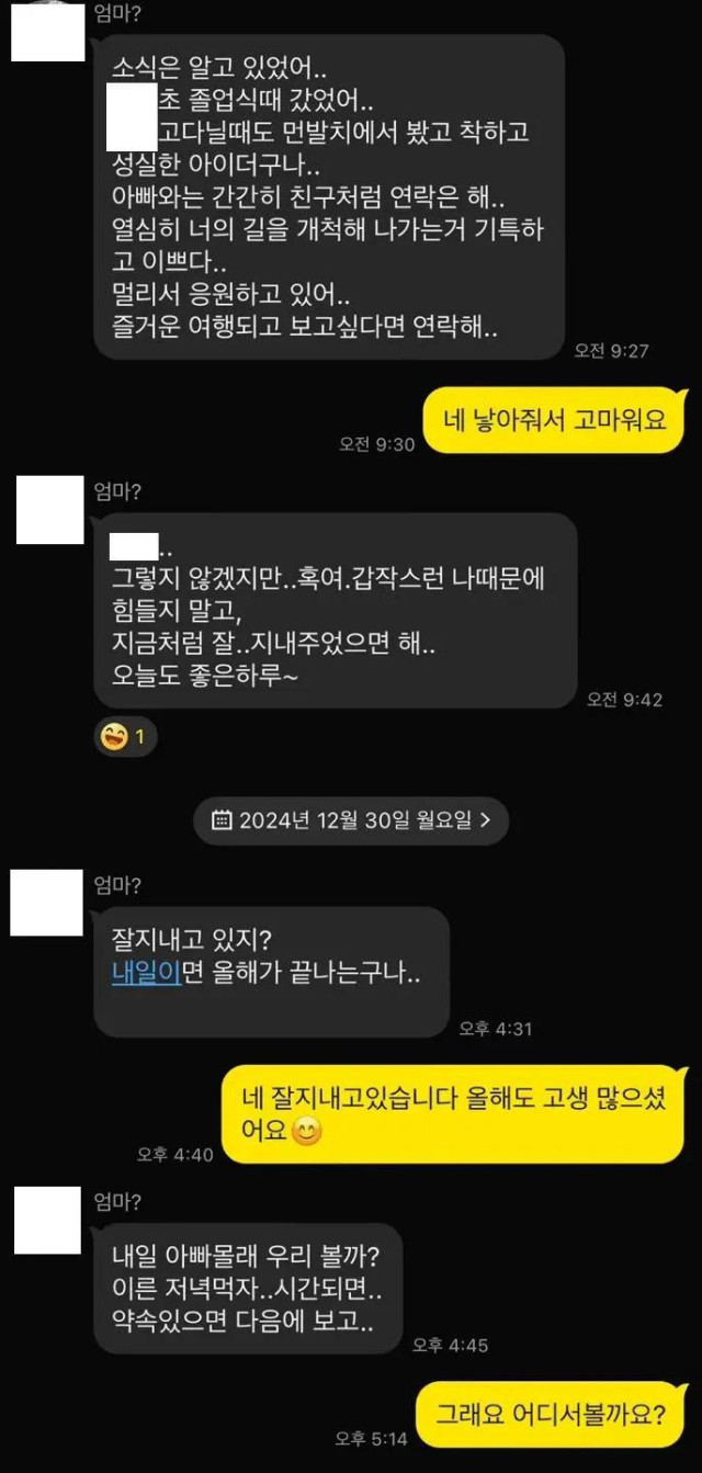 약 20년만에 엄마 처음 보러가는 디씨인